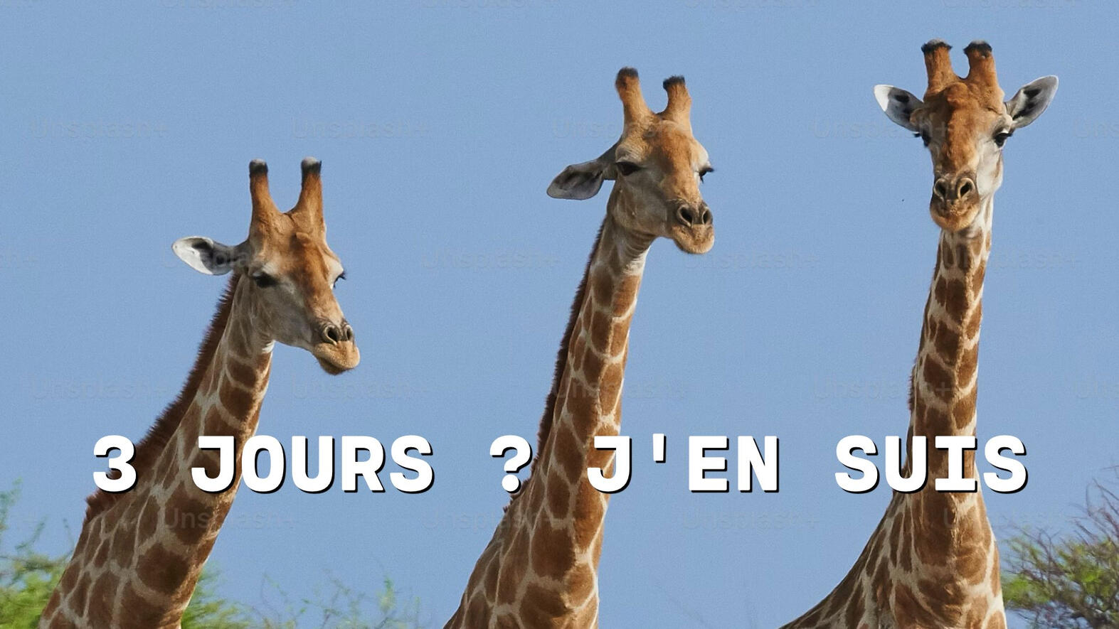 Semaine de 3 jours • 3 jours ? j'en suis