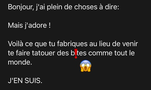 Bonjour, j'ai plein de choses à dire: Mais j'adore ! Voilà ce que tu fabriques au lieu de venir te faire tatouer des bites comme tout le monde. J'EN SUIS.